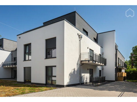 1 Zimmer Penthouse (Erstbezug)  in zentraler Lage von Bonn - Zu Vermieten