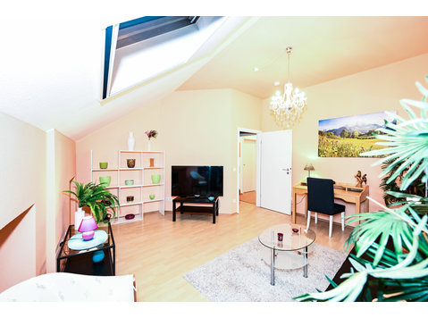 Amazing studio in Bonn - For Rent
