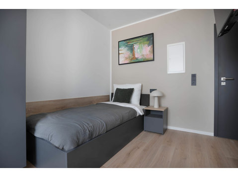 Awesome & quiet single bed studio in Bonn - For Rent