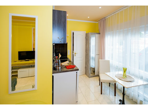 Beautiful and wonderful apartment - great view! - For Rent