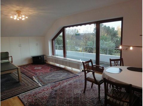 Cozy home with roof terrace in Bonn - À louer