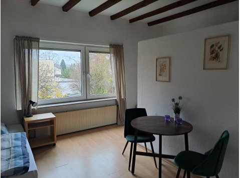 Lovely, gorgeous apartment in Bonn - For Rent
