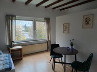 Lovely, gorgeous apartment in Bonn - Kiralık