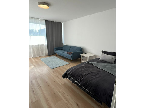 Pretty, spacious apartment in Bonn - For Rent