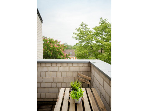 Ruhige kleine Wohnung mit Sonnen-Balkon in Bonn - Zu Vermieten