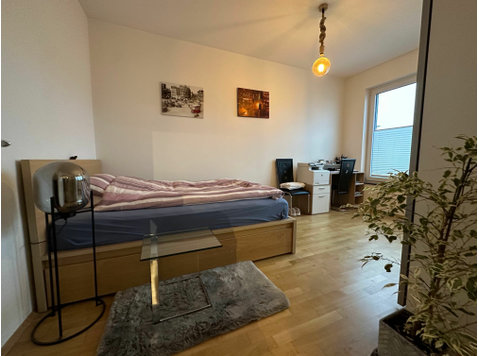 Beautiful and lovely studio in Köln - For Rent