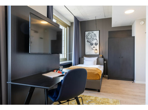 Pretty, fantastic suite in popular area - Aluguel
