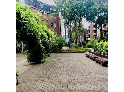 Spacious and luxury attic apartment - For Rent
