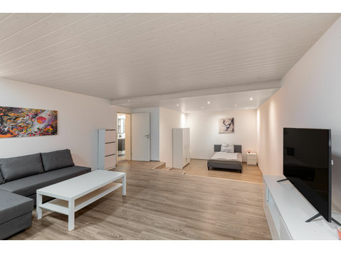 Spacious, modern suite (Köln) - For Rent