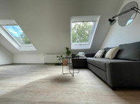 Pretty & neat loft, over the roofs of Dortmund - À louer