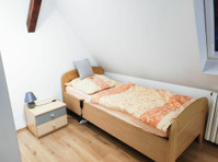 Large bright 4 room maisonette apartment - K pronájmu