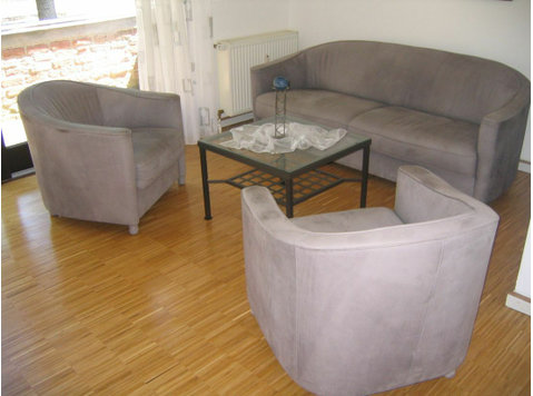 Large & bright apartment for rent from 01.09 - Fully… - Izīrē