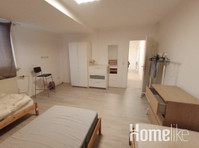 Large bright 4 rooms - Apartman Daireleri