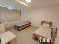Large bright 4 rooms - Apartmány
