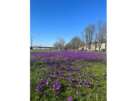 Beautyful & cosy flat in Düsseldorf, prime location! - For Rent