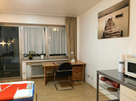 Cozy studio in walking distance to the mainstation and the… - השכרה