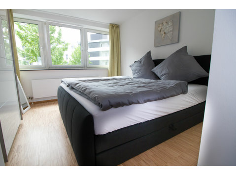Designer apartment in a prime location. Opposite the Gehry… - For Rent