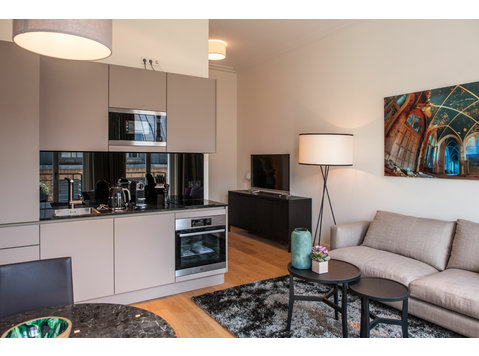 Modern and high quality studio apartment in the middle of… - Annan üürile