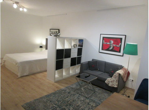 32qm, modernes 1 Raum-Appartment mit separater Küche und Bad - Zu Vermieten