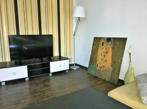 Top equipped loft apartment with real wood floors in Benrath - For Rent