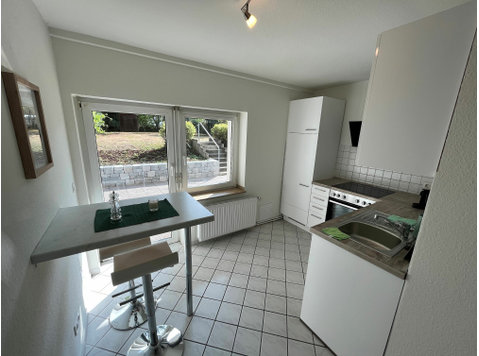 fully furnished basement apartment with large terrace - For Rent