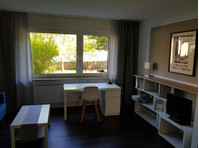 Fully furnished apartment in Essen - Do wynajęcia