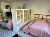 Fully furnished one-room apartment in the middle of… - Izīrē