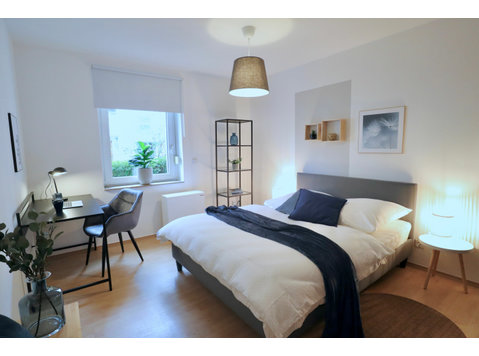 Wonderful and new loft conveniently located - For Rent