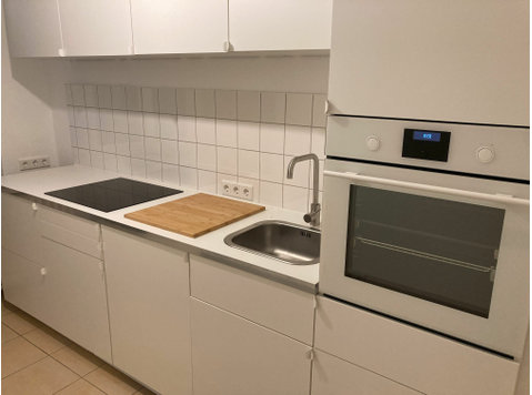 super central 2 room and full kitchen apartment 50 sqm - Aluguel