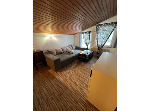 1 Zimmer Wohnung mit Küche und Bad, voll möbiliert - For Rent