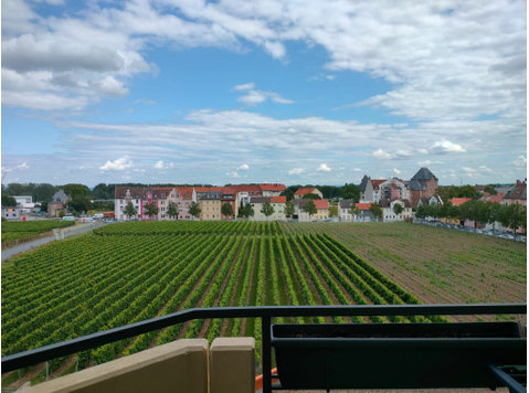 Charming and awesome suite (Worms) - For Rent