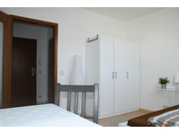 Cozy 1-room-apartment in Worm city-centre - À louer