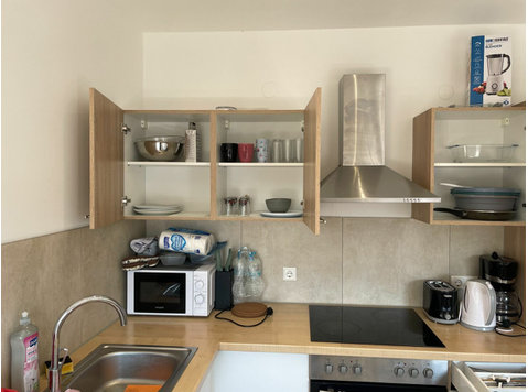 Cute, quiet studio (Frankenthal) - For Rent