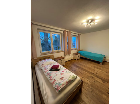 Fantastic and neat flat (Flammersfeld) - For Rent