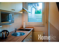 Bright, centrally located single apartment in Speyer - Leiligheter