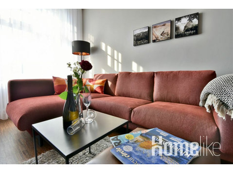 Comfortable business apartment in the heart of the city - דירות