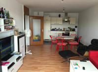Domestic, fashionable apartment for a time in nice… - In Affitto
