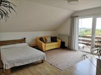 Great & fantastic appartment (Leinsweiler) - 出租