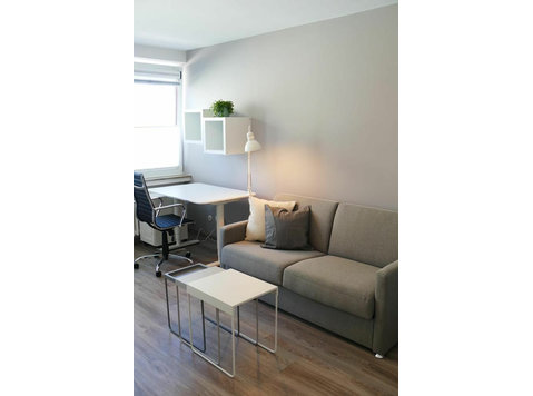 Gorgeous loft located in Koblenz - For Rent
