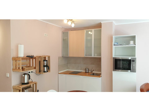Charming, bright apartment in Mainz - For Rent