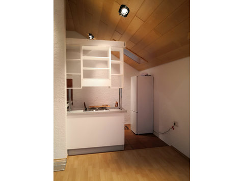 Cozy and charming flat near Uni, in Mainz - For Rent