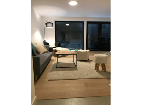 Exclusive furnished modern apartment near Mainz - For Rent