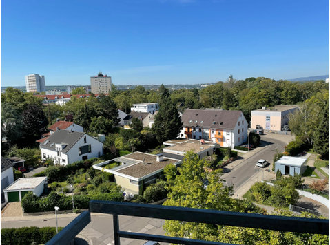 Fashionable, bright flat located in Mainz - À louer