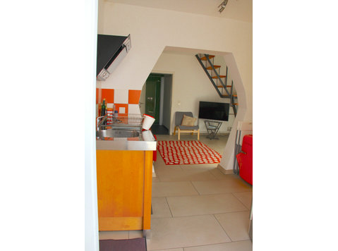 Maisonette apartment with terrace - Izīrē