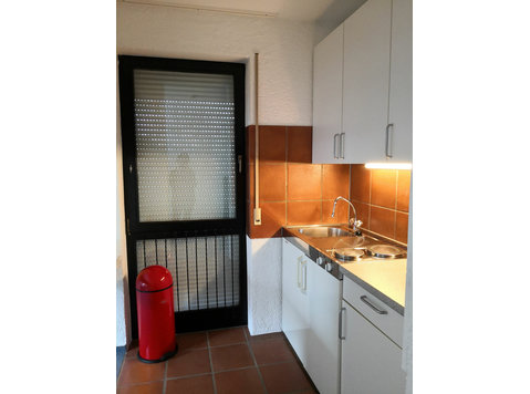 Modern and neat studio - great view! - For Rent