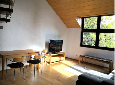 Ruhiges Maisonette 12-5 im Herzen von Mainz, nah Uni Mainz - Zu Vermieten