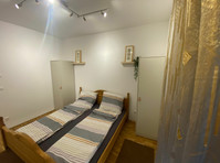 Neat & perfect new suite in Mainz - Vuokralle