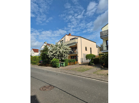 New suite in Mainz - Aluguel