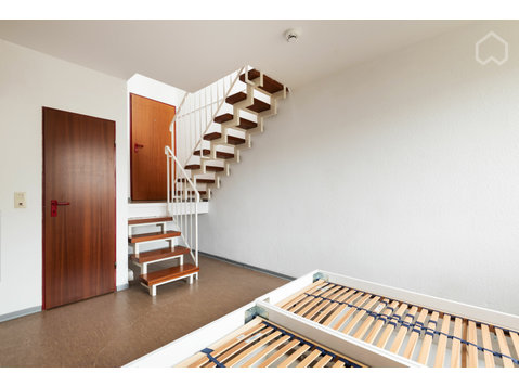 Nice and inexpensive 2 room apartment in the heart of Mainz - For Rent