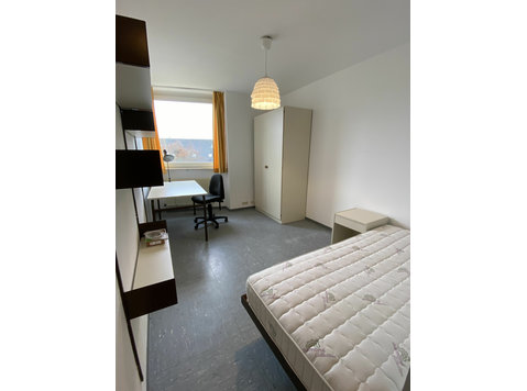 Nice and inexpensive single apartment near Mainz - For Rent